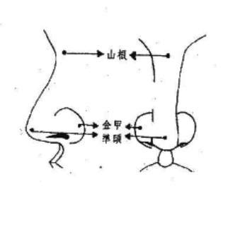 鼻運 年齡|鼻子代表二十歲至四十五歲的運氣，鼻樑有節中年時會。